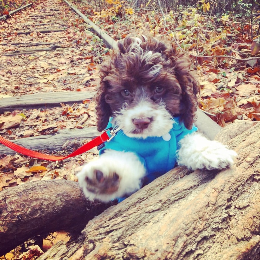 Meet your Posher, Kathryn